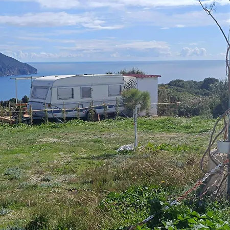Campsite Fox Caravan Afionas